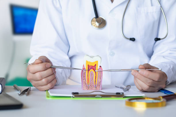 Best Emergency Dental Care for Broken or Chipped Teeth in Ashburn, GA